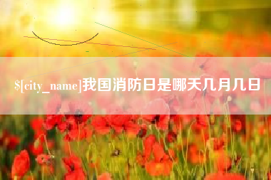 单县我国消防日是哪天几月几日