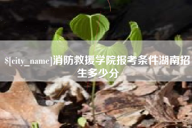 单县消防救援学院报考条件湖南招生多少分