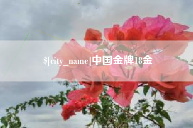 单县中国金牌18金