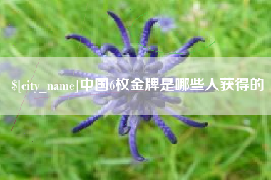 单县中国6枚金牌是哪些人获得的