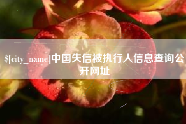 单县中国失信被执行人信息查询公开网址