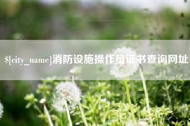 单县消防设施操作员证书查询网址