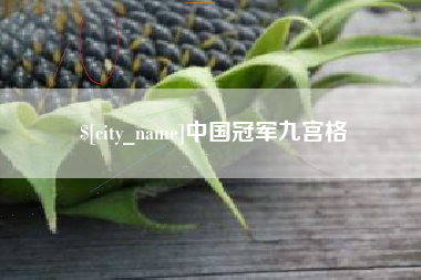 单县中国冠军九宫格