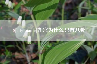 单县九宫为什么只有八卦