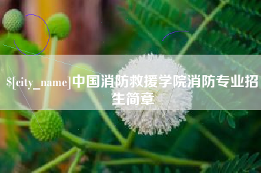 单县中国消防救援学院消防专业招生简章