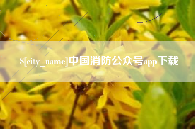 单县中国消防公众号app下载