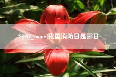 单县我国消防日是哪日