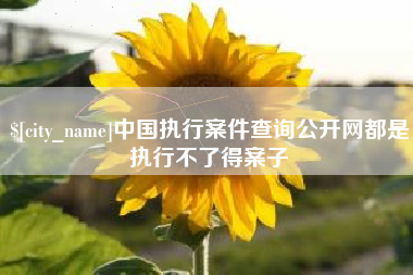 单县中国执行案件查询公开网都是执行不了得案子