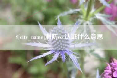 单县消防ccc认证什么意思
