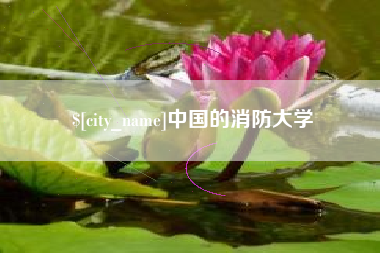 单县中国的消防大学
