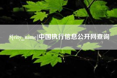 单县中国执行信息公开网查询