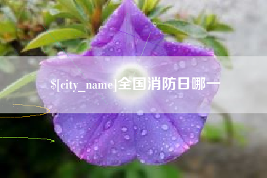 单县全国消防日哪一