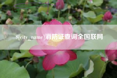 单县消防证查询全国联网
