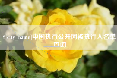 单县中国执行公开网被执行人名单查询