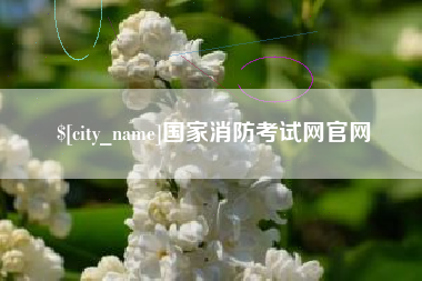 单县国家消防考试网官网