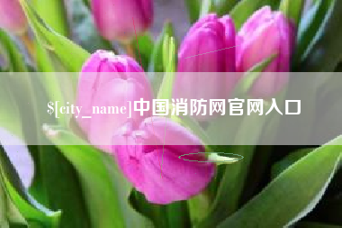 单县中国消防网官网入口