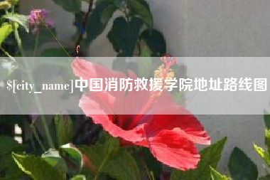 单县中国消防救援学院地址路线图