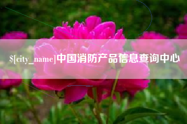 单县中国消防产品信息查询中心