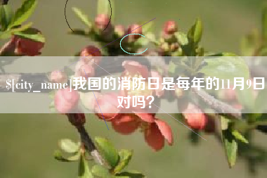 单县我国的消防日是每年的11月9日对吗？