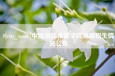 单县中国消防救援学院湖南招生情况公布
