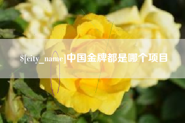 单县中国金牌都是哪个项目