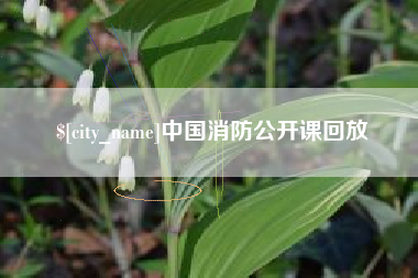 单县中国消防公开课回放