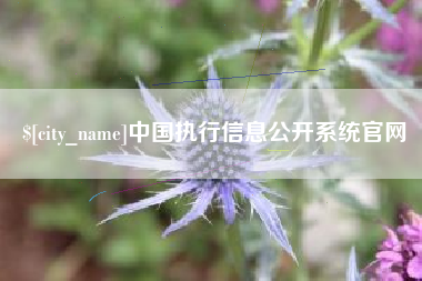 单县中国执行信息公开系统官网