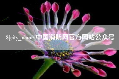 单县中国消防网官方网站公众号
