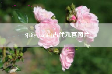 单县古代九宫图片