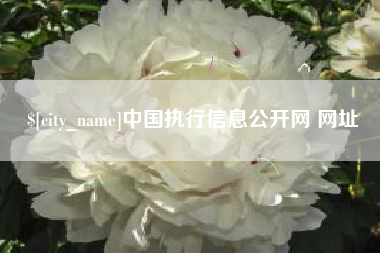 单县中国执行信息公开网 网址