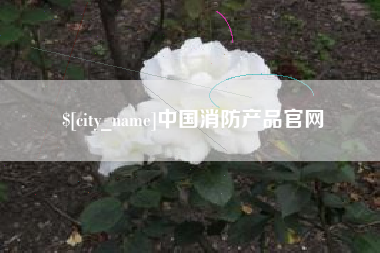 单县中国消防产品官网