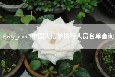 单县中国失信被执行人员名单查询