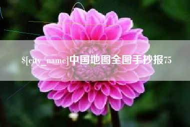 单县中国地图全图手抄报75