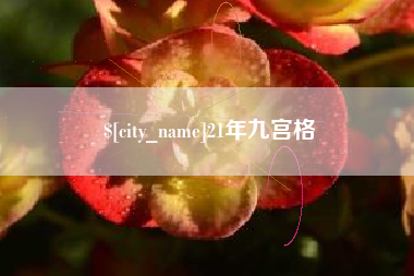 单县21年九宫格