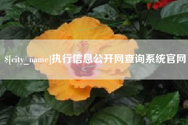 单县执行信息公开网查询系统官网