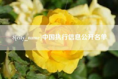 单县中国执行信息公开名单