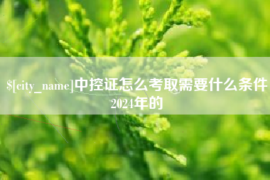 单县中控证怎么考取需要什么条件2024年的