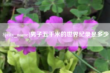 单县男子五千米的世界纪录是多少