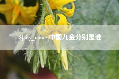 单县中国九金分别是谁