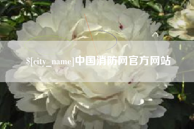 单县中国消防网官方网站