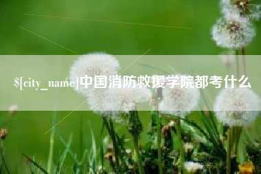 单县中国消防救援学院都考什么