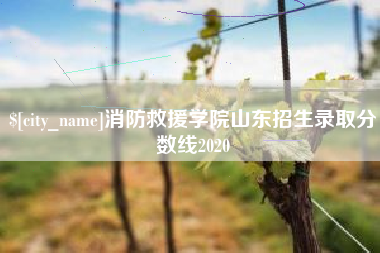 单县消防救援学院山东招生录取分数线2020