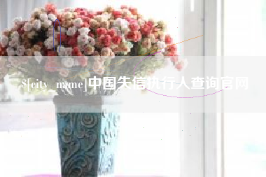 单县中国失信执行人查询官网