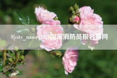 单县2021国家消防员报名官网