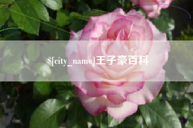 单县王子豪百科