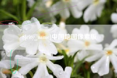 单县中国地图像素版