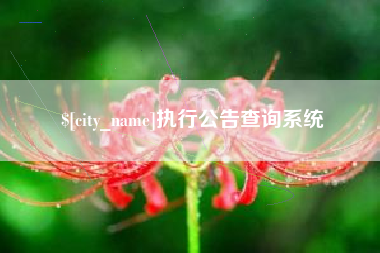 单县执行公告查询系统