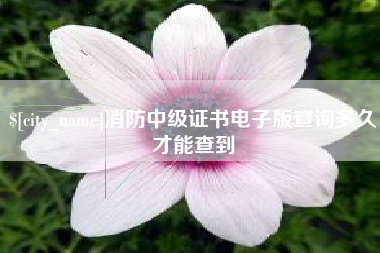 单县消防中级证书电子版查询多久才能查到