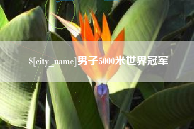 单县男子5000米世界冠军