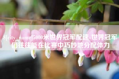 单县5000米世界冠军配速-世界冠军们往往能在比赛中巧妙地分配体力